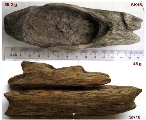 1001 Bí mật về trầm hương – Phần 1: